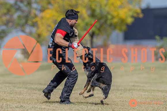 2025K9ForceCup-6615