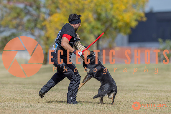 2025K9ForceCup-6616