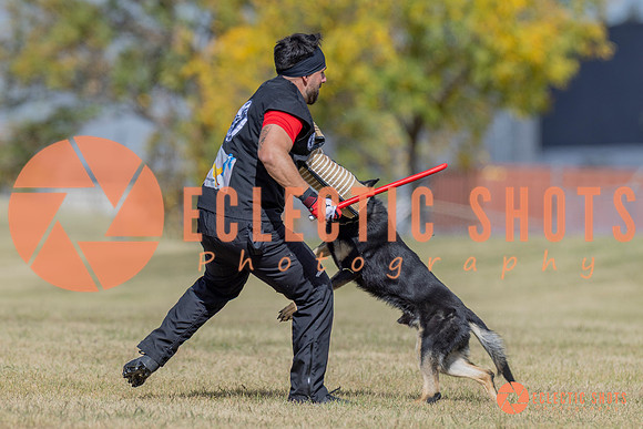 2025K9ForceCup-6617