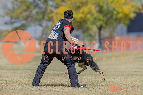 2025K9ForceCup-6619