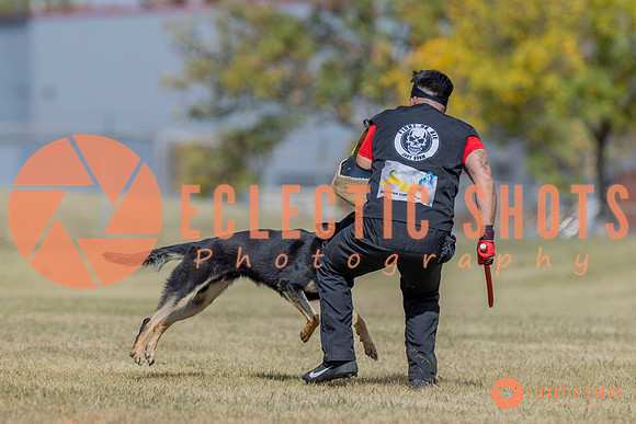 2025K9ForceCup-6626