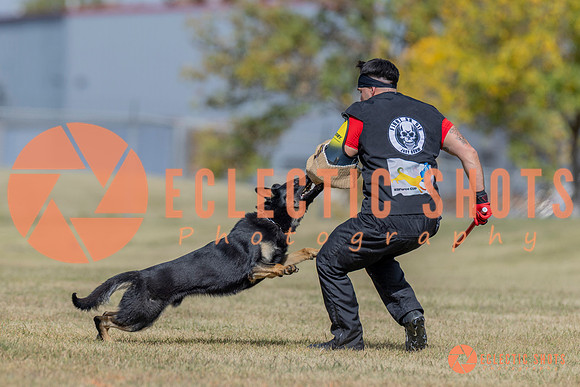 2025K9ForceCup-6629