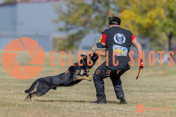 2025K9ForceCup-6628