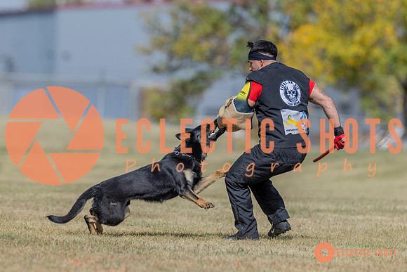 2025K9ForceCup-6630
