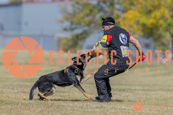 2025K9ForceCup-6631