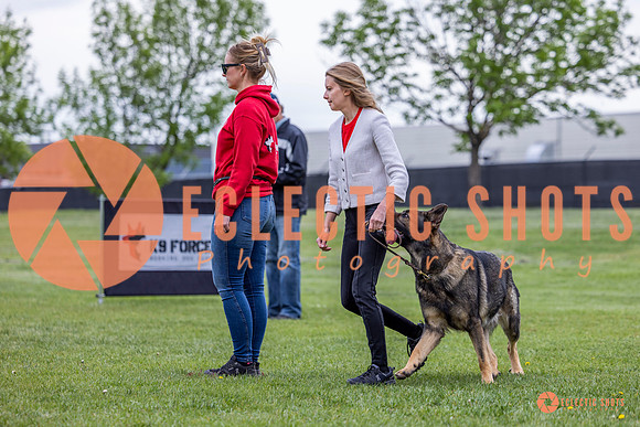 2025-K9Force-MayExams-5385