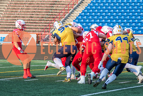 CalgaryColts-2492
