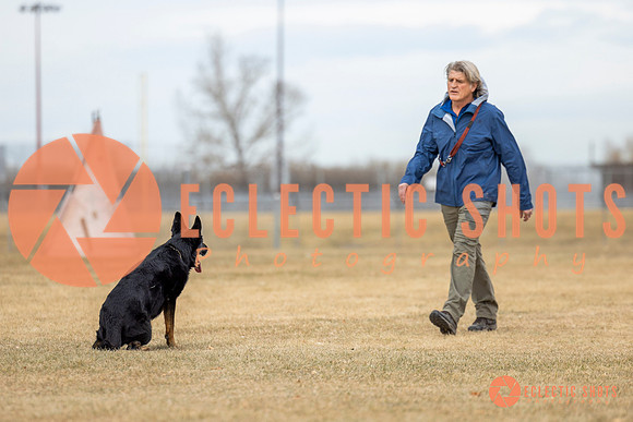 K9Force11.2025-8585