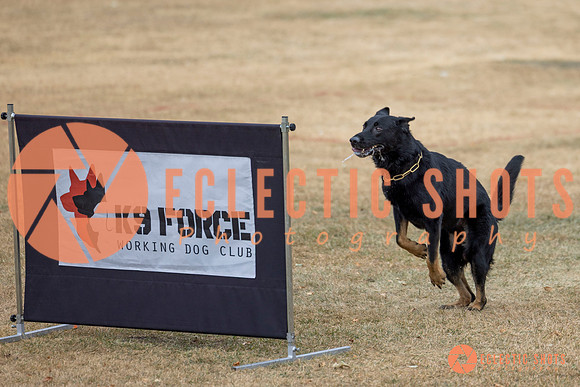 K9Force11.2025-8613