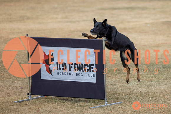 K9Force11.2025-8616