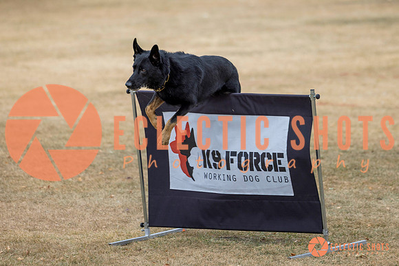 K9Force11.2025-8622