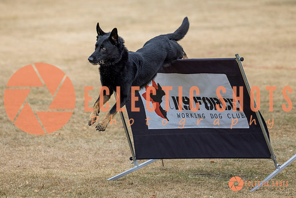 K9Force11.2025-8624