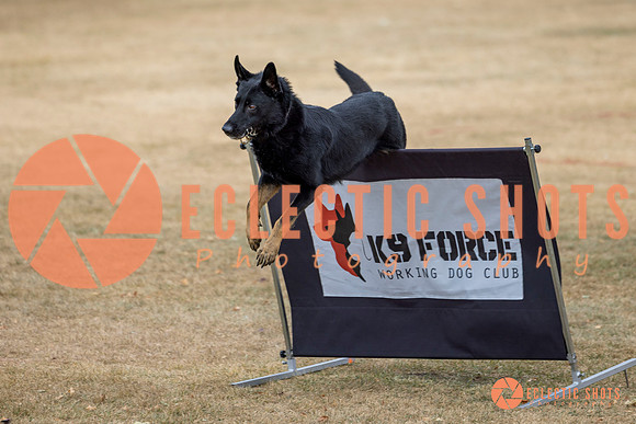 K9Force11.2025-8623