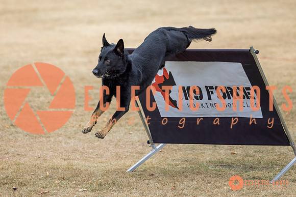 K9Force11.2025-8625