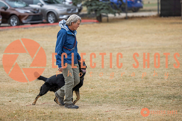 K9Force11.2025-8646