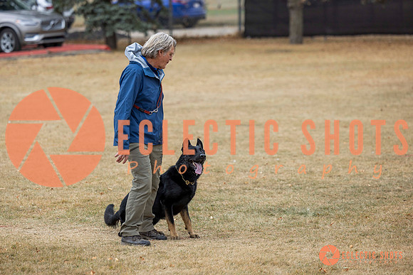 K9Force11.2025-8651