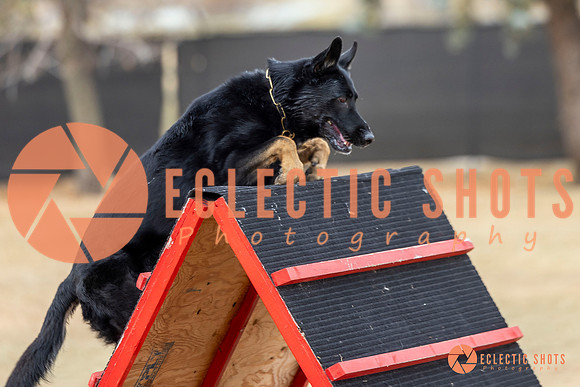 K9Force11.2025-8674