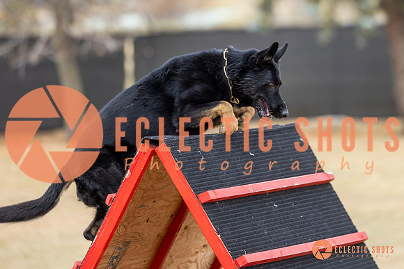 K9Force11.2025-8675