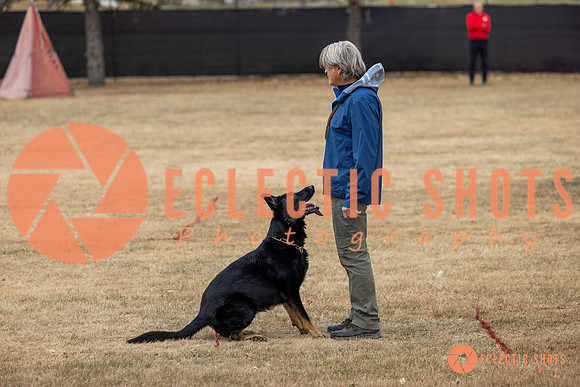 K9Force11.2025-8708