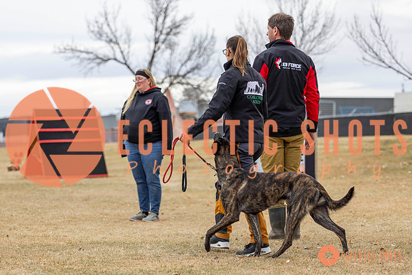 K9Force11.2025-8449