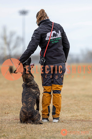K9Force11.2025-8461