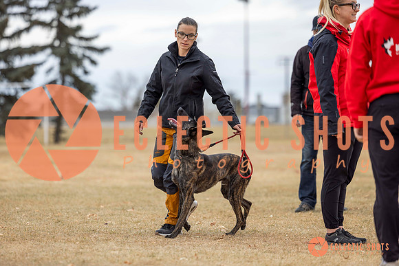 K9Force11.2025-8453
