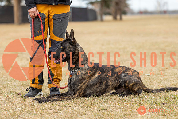 K9Force11.2025-8499