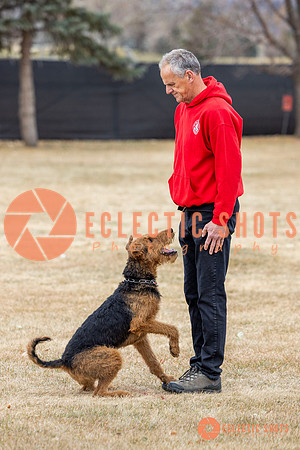 K9Force11.2025-8900