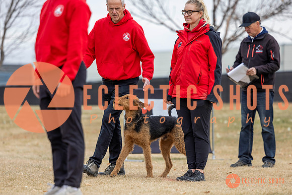 K9Force11.2025-8750
