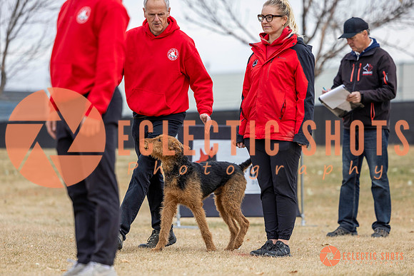 K9Force11.2025-8752