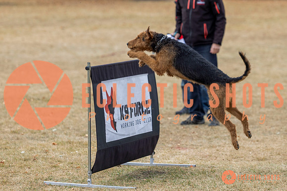 K9Force11.2025-8767