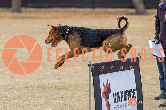 K9Force11.2025-8772