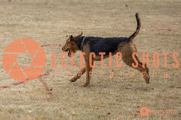 K9Force11.2025-8785