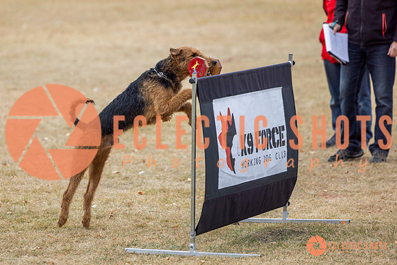 K9Force11.2025-8823