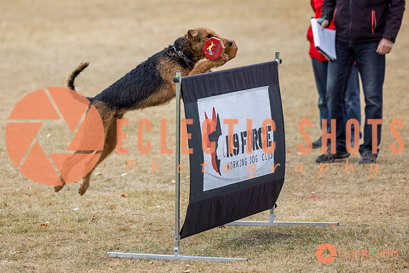 K9Force11.2025-8824