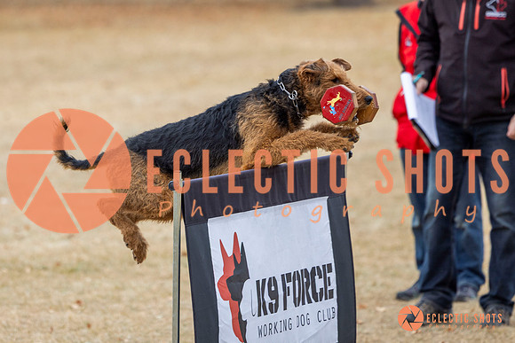 K9Force11.2025-8826
