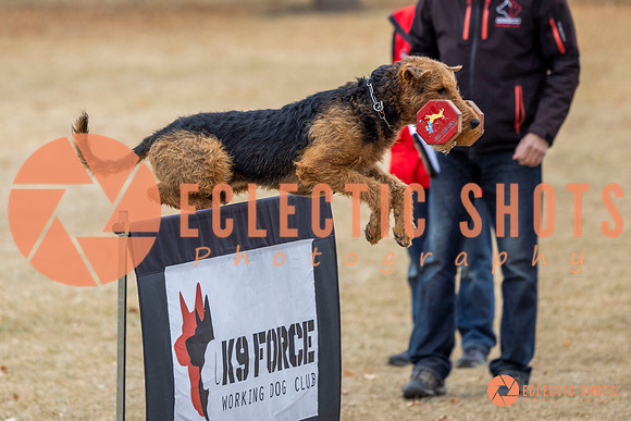 K9Force11.2025-8828