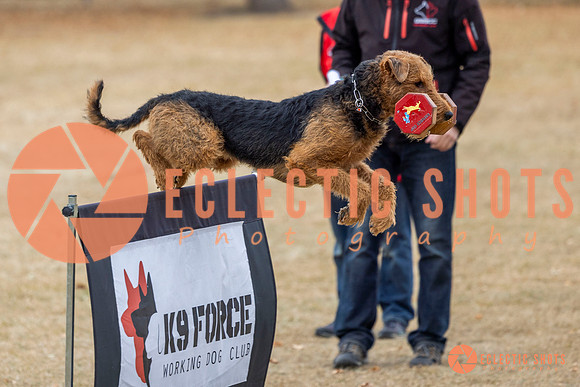 K9Force11.2025-8829
