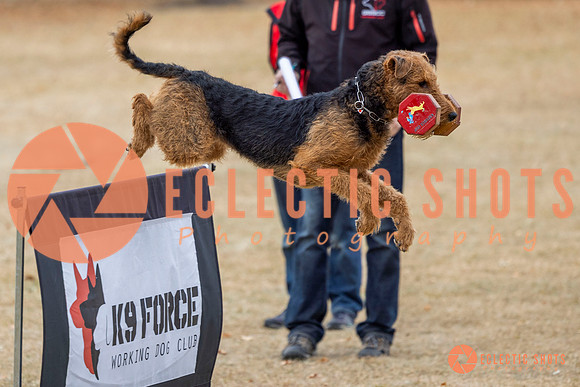 K9Force11.2025-8830