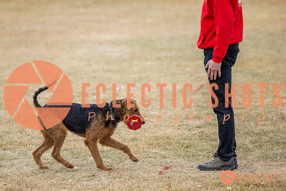 K9Force11.2025-8847