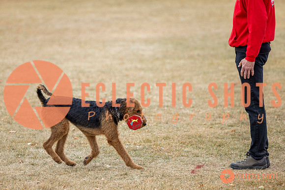 K9Force11.2025-8845