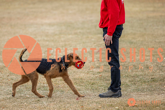 K9Force11.2025-8849