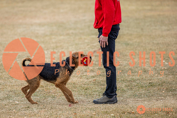 K9Force11.2025-8851