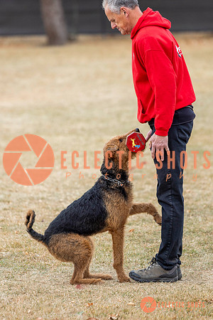 K9Force11.2025-8859