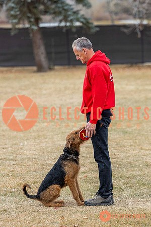 K9Force11.2025-8860
