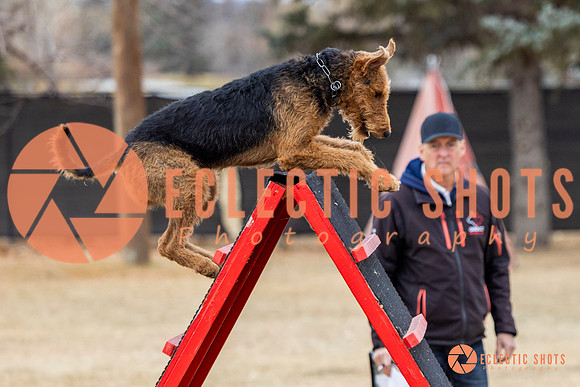 K9Force11.2025-8869