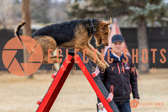K9Force11.2025-8870