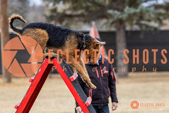 K9Force11.2025-8872