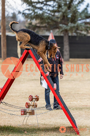K9Force11.2025-8873