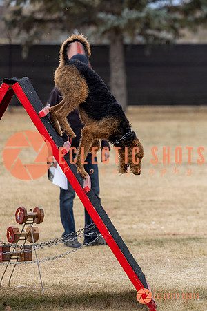 K9Force11.2025-8879